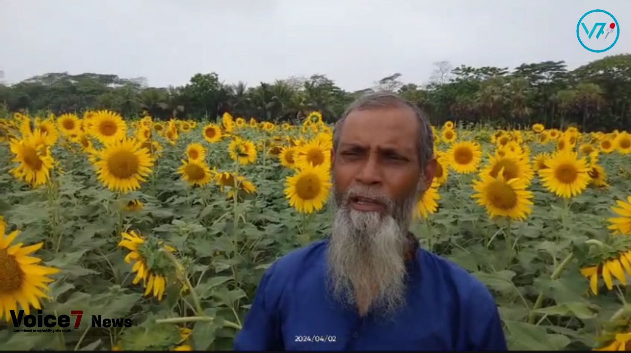 Farmers said, southern district lack a sophisticated understanding of sunflower production.